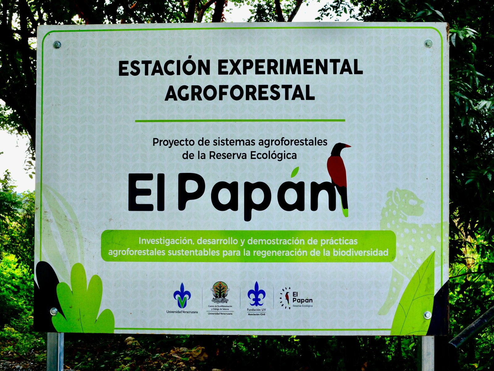 Letrero oficial de colaboración UV